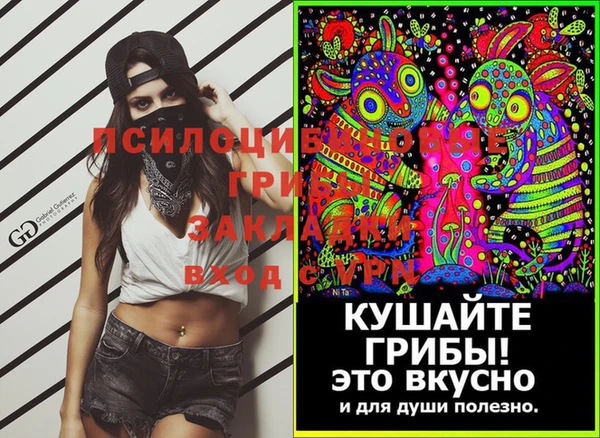 бошки Абаза